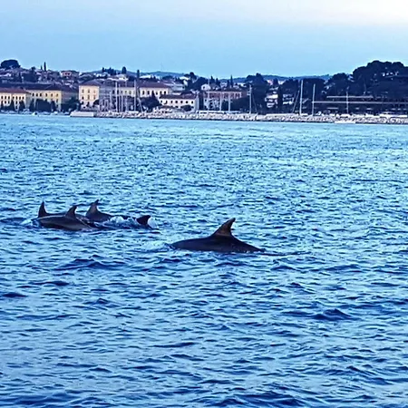 Appartamento Casa Marea *