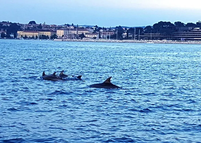 Apartamento Casa Marea *